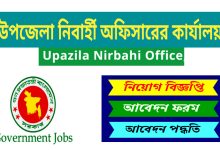 Upazila Nirbahi Office Job Circular 2022